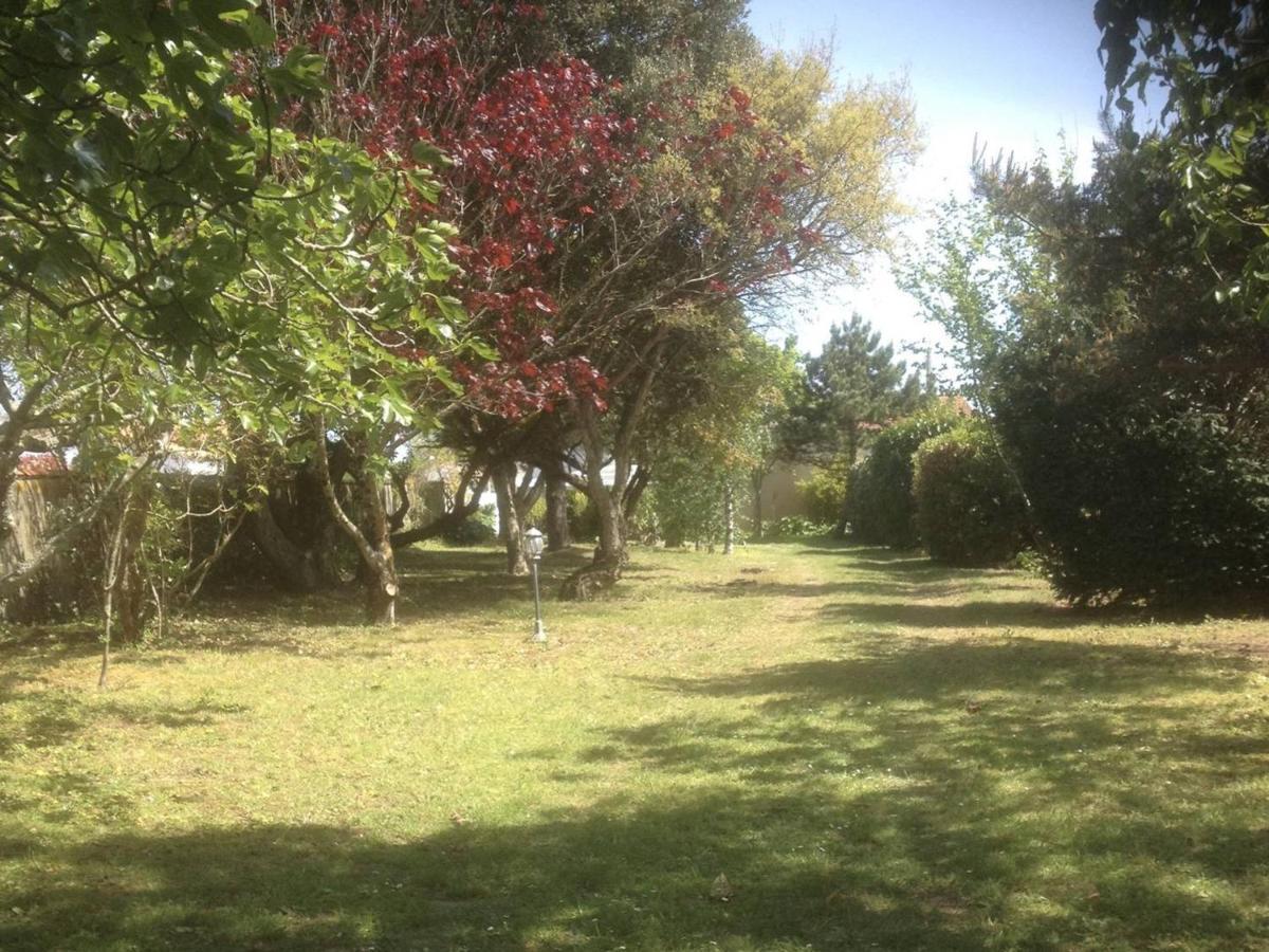 Charmante Maison En Pierre, 6 Couchages, Proche Plage Et Jardin Arbore - - Fr-1-246a-126 *
